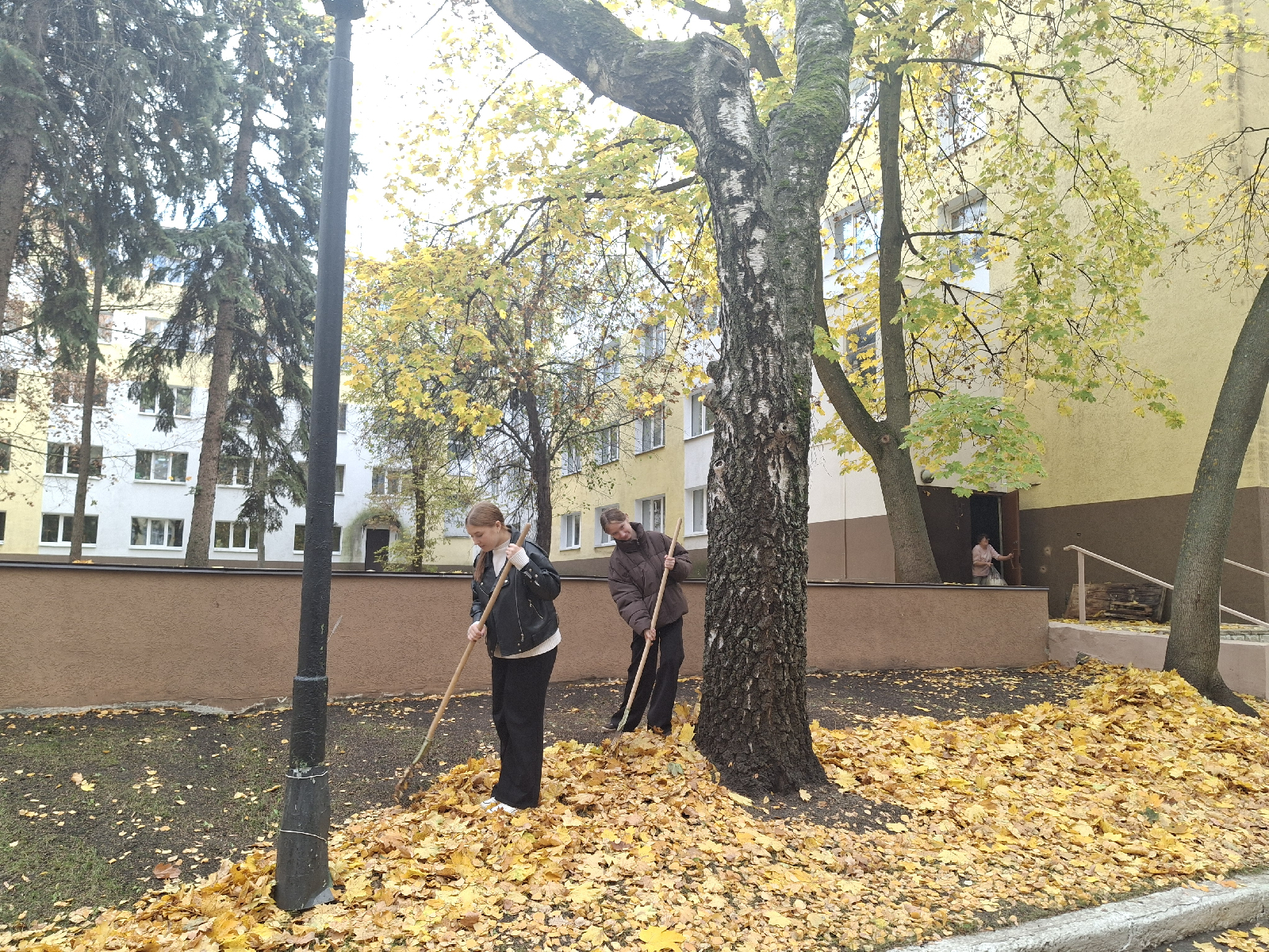 Группа 24 ФПИ1 на уборке территории